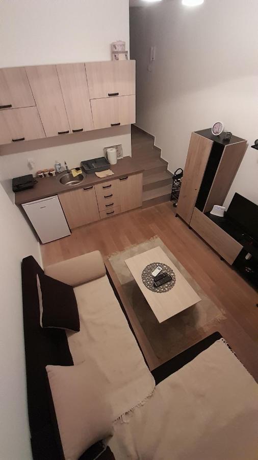 Apartman Tia Vrnjacka Banja Vrnjačka Banja Exterior foto