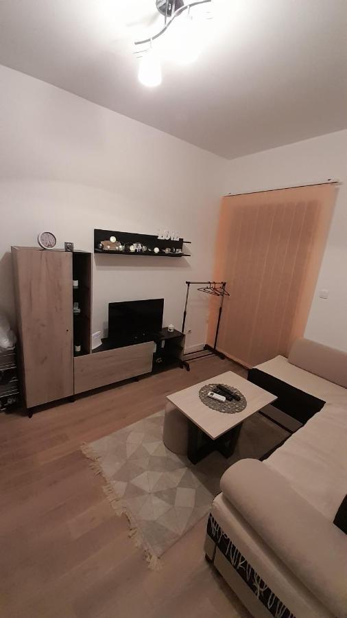 Apartman Tia Vrnjacka Banja Vrnjačka Banja Exterior foto